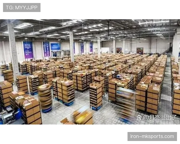 梅里诺羊毛复兴引领全球市场稳健增长，开启繁荣新篇章