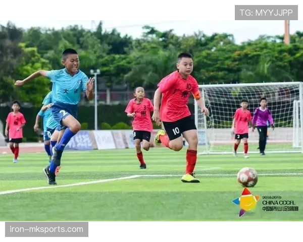 日本国家队青训体系持续提升,夯实人才储备基础 日本国家队青训体系持续提升,夯实人才储备基础